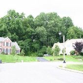 Maplewood Drive