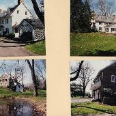 Pine Tree Farm