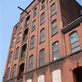 Rose Mills