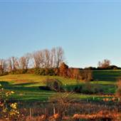 Okehocking Preserve