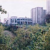 Empty Lot Neighborhoods