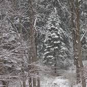 Glen Providence Park