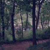 Rock Cove, Pennypack Park