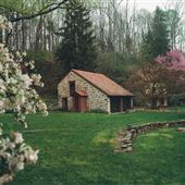 Bloom Farm