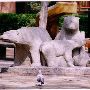 Three Bears Park