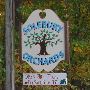 Solebury Orchards