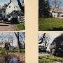 Pine Tree Farm