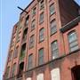 Rose Mills