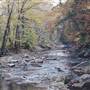 Creekside