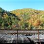Jim Thorpe / Blue Mountain Sports