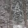 Glen Providence Park