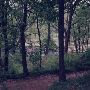 Rock Cove, Pennypack Park