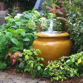 South 24th St. garden