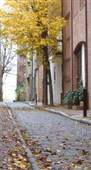 Abbot Square Condominiums