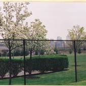 Gray's Ferry & N. 34th