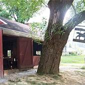 Landis Valley Farm Museum