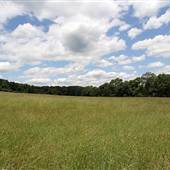 Pheasant Hill Farm