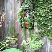 South Philly - Garden