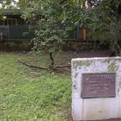Ralph Morgan Park
