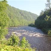 Lehigh Gorge State Park