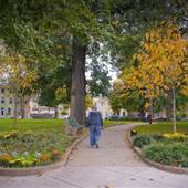 Palmer Park