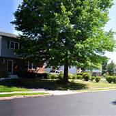 7800 Kathleen Ct Haverford PA