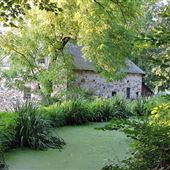 The Mill at Anselma