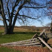 Valley Forge National Park - with Log Cabin Interiors