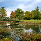 F.D.R Golf Club