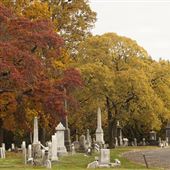 The Woodlands Cemetery