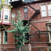 301 S. 17th Street Apartment Building