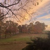 Musser Farm