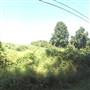 351 Gradyville Road