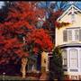 Aaron Burr House