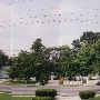 Woodbury Amory