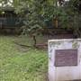 Ralph Morgan Park