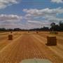Meadow Springs Farm