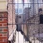South Philadelphia Alleys