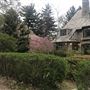 European Art Deco Stone Manor