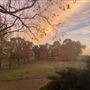 Musser Farm