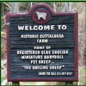 Cuttalossa Farm