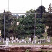 Mt. Vernon Cemetery