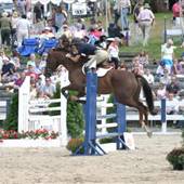 Ludwigs Corner Horse Show Grounds