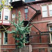 17th and Spruce