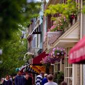 Chestnut Hill Commercial Area