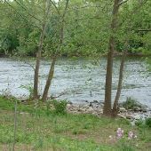 Yardley ( River Views & Homes)