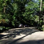 Mermaid Lane