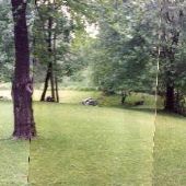 Beloved Birth Pond