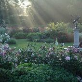 Morris Arboretum