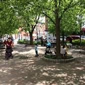Bardascino Park